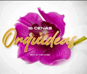 16 cenas orquideas