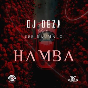 Dj obza hamba (feat. zee nxumalo)