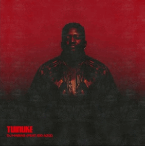 Dj habias tuinuke feat. idd aziz