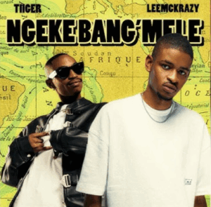 Tiiger & leemckrazy ngeke bang'mele (feat. quayr musiq & king deep)