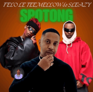 Felo le tee spotong feat. mellow & sleazy
