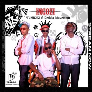Tumisho ingozi (feat. dedela movement)