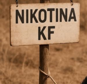 Nikotina kf mucapata com cabrito
