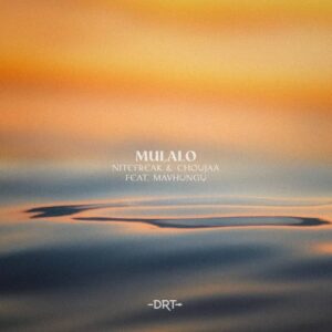 Nitefreak & choujaa mulalo (feat. mavhungu)