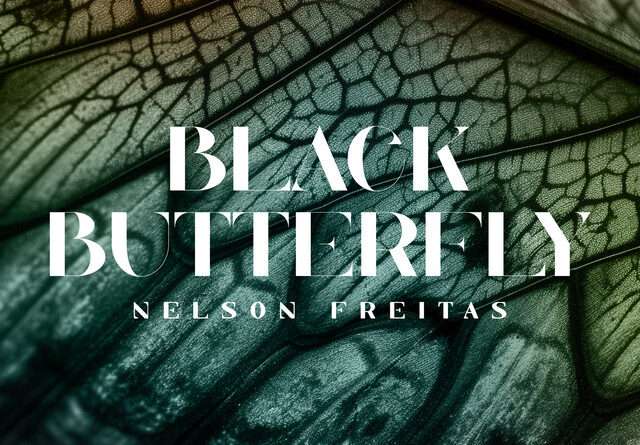 Nelson Freitas - Black Butterfly podes Descarregar MP3, Descarregar Nova Musica Free ou fazer o Download Mp3, Download Audio ou simplesmente Baixar a nova musica de Nelson Freitas - Black Butterfly no formato Mp3.