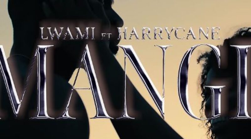 Lwami - Mangi feat. Harry Cane