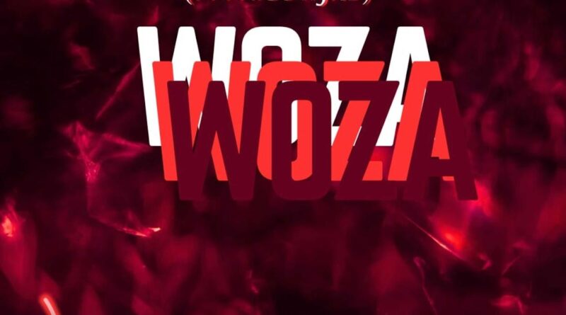 Mcdeez Fboy & DrummeRTee924 - WOZA WOZA (feat. Phigow Jrd)