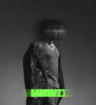 Tekno - Wayo