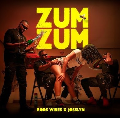 Rods Wires & Josslyn – Zumzum