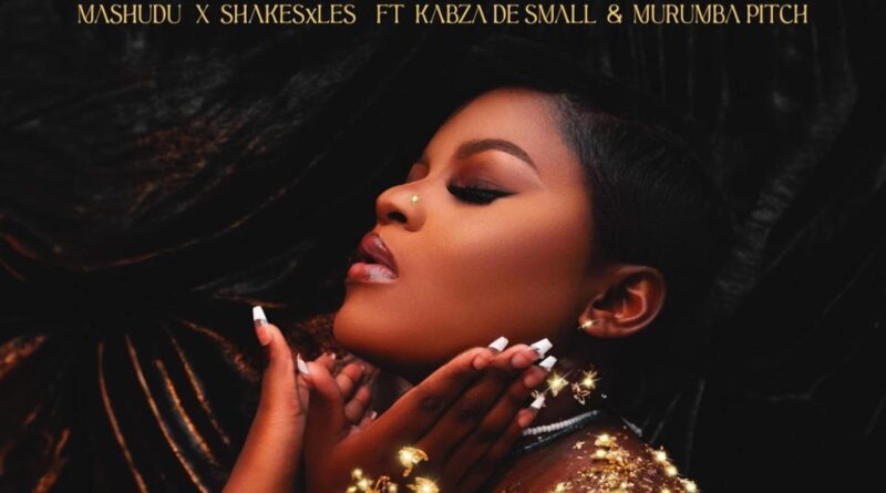 Mashudu & Shakes & Les - Ngempela (feat. Kabza De Small & Murumba Pitch)