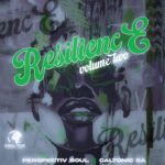 Caltonic SA & Perspectiv Soul - Resilience 2 (EP)