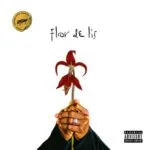 Depois de muito tempo fora de estúdio, a rapper moçambicana Laylizzy, actualmente residente no estrangeiro, lançou o seu mais recente álbum intitulado Flor De Lis, com todas músicas exclusivas no seu género habitual, Hip Hop.
