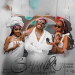 Masterpiece YVK, Kabza De Small & Tsitso - Shawara (feat. Exclusive Baddies & Sly)