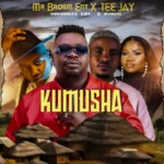 Mr Brown Ent. x Tee Jay Kumusha Ft Makhadzi Ent & Aymos